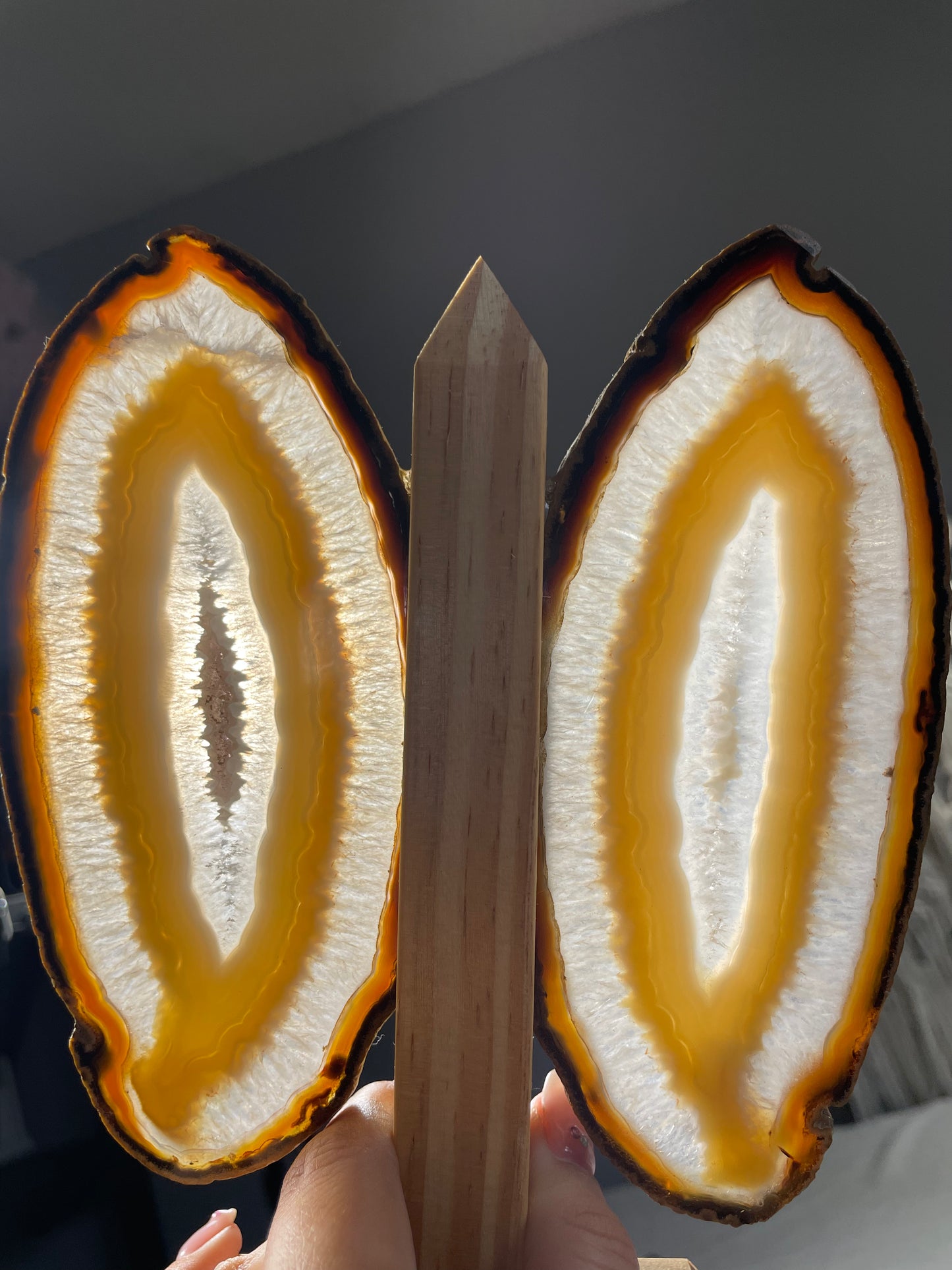 Brazilian Butterfly Agate Wings (C)
