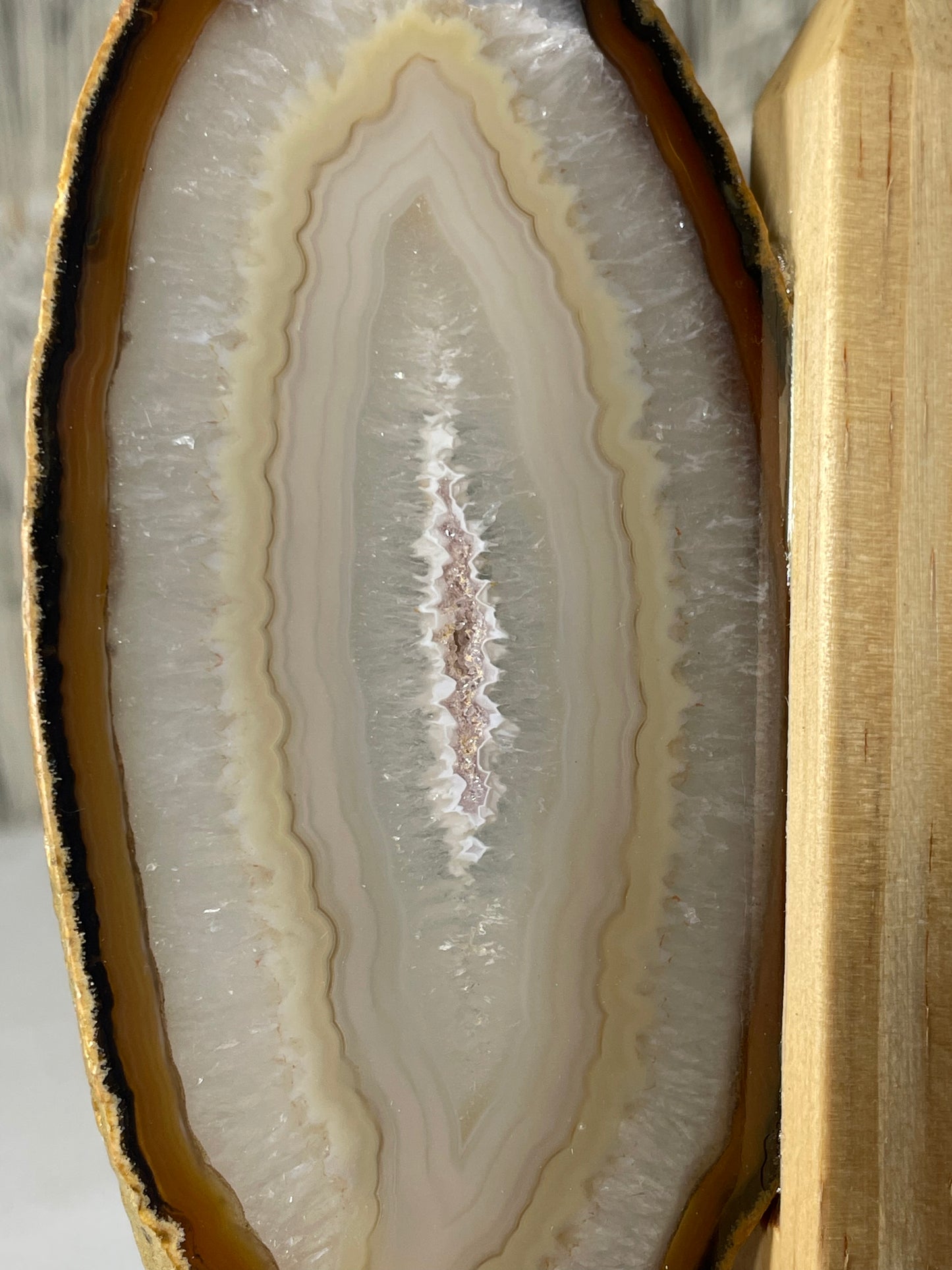 Brazilian Butterfly Agate Wings (C)