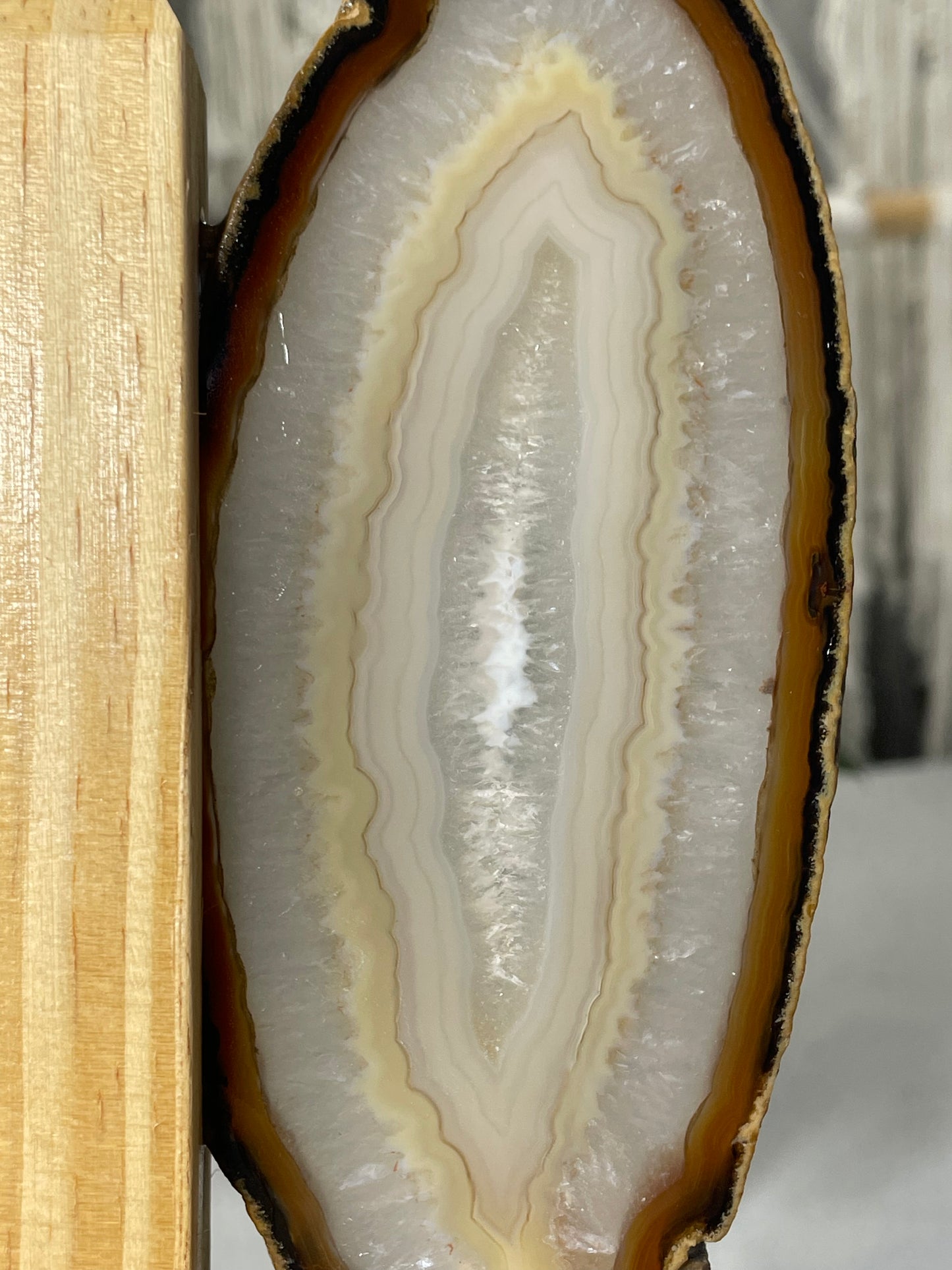 Brazilian Butterfly Agate Wings (C)