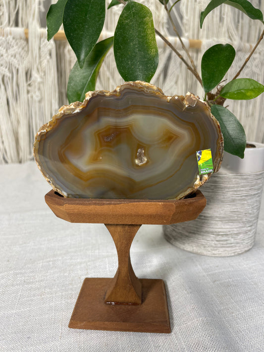 Brazilian Agate (C)