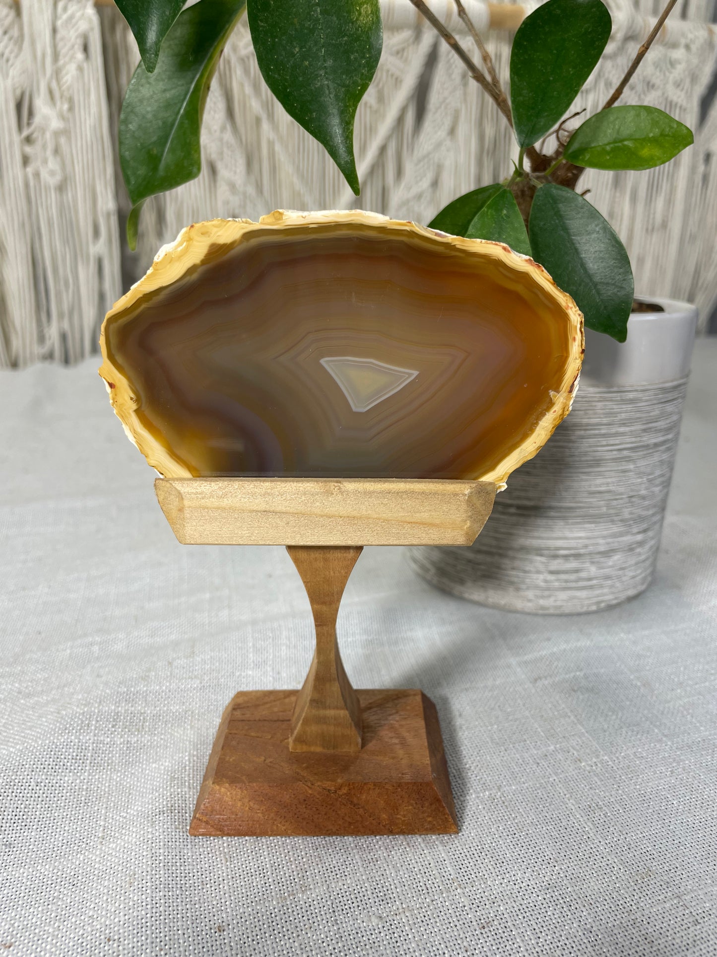 Brazilian Agate (D)