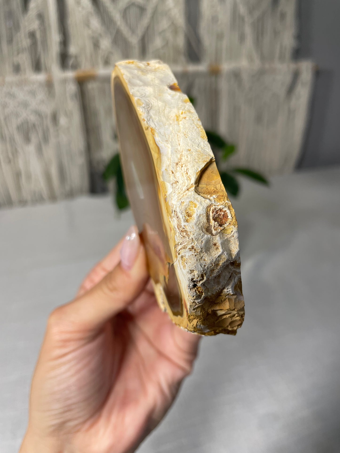 Brazilian Agate (D)