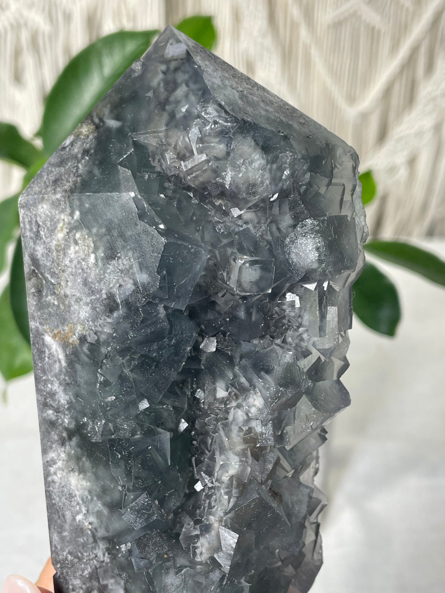 Fluorite Specimen Towers