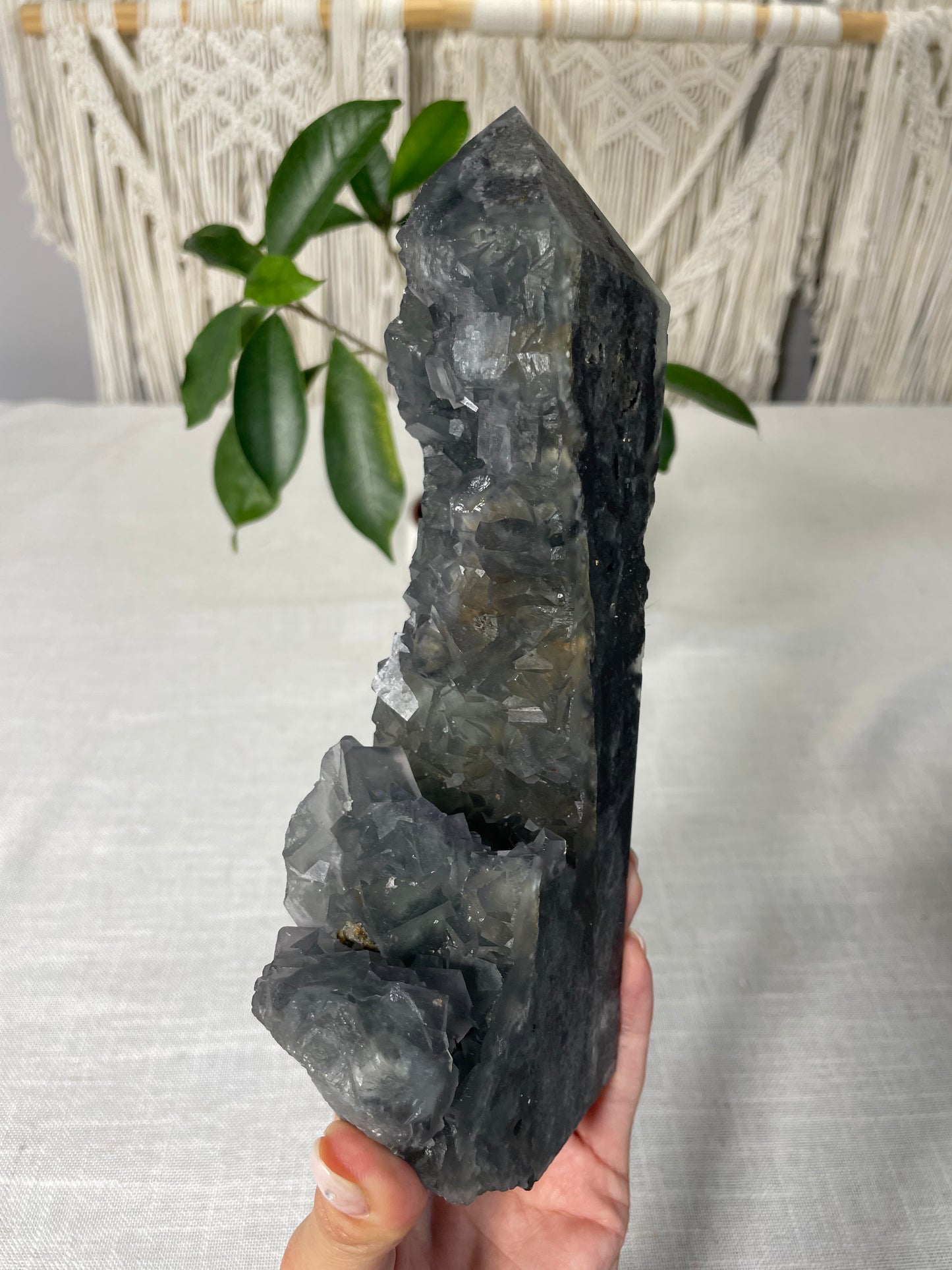 Fluorite Specimen Towers