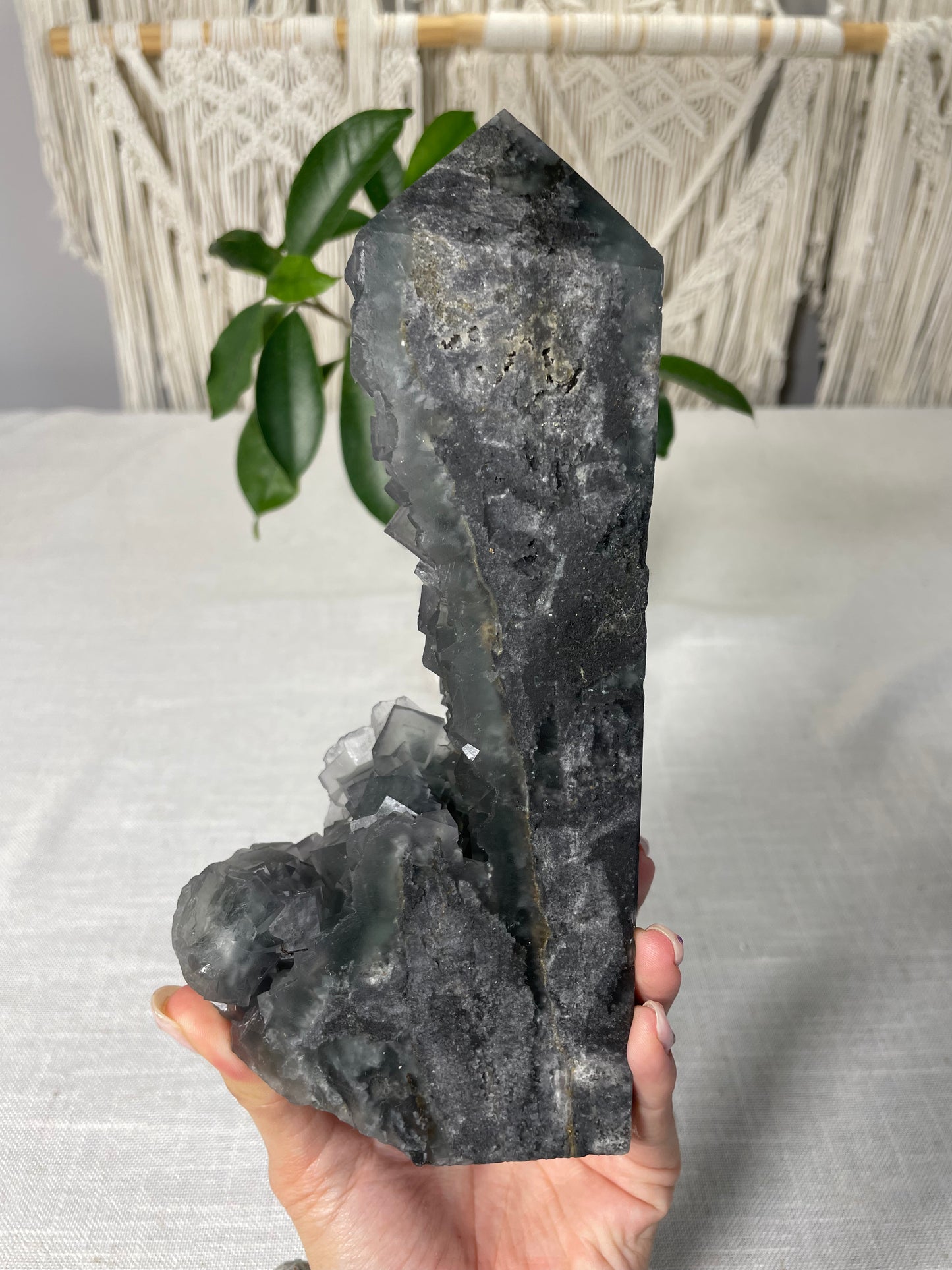 Fluorite Specimen Towers