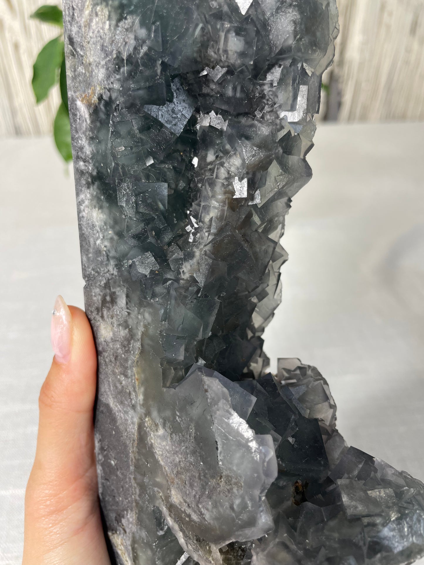 Fluorite Specimen Towers