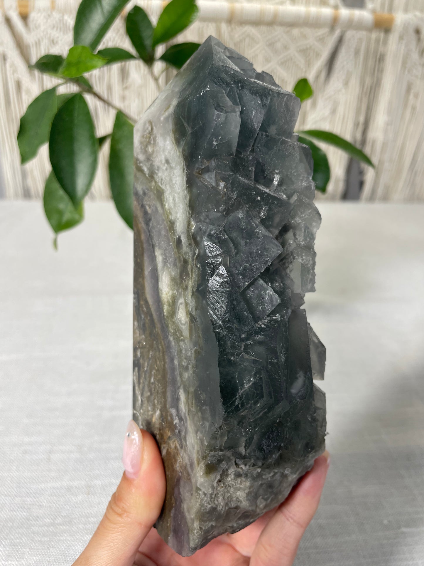 Fluorite Specimen Towers