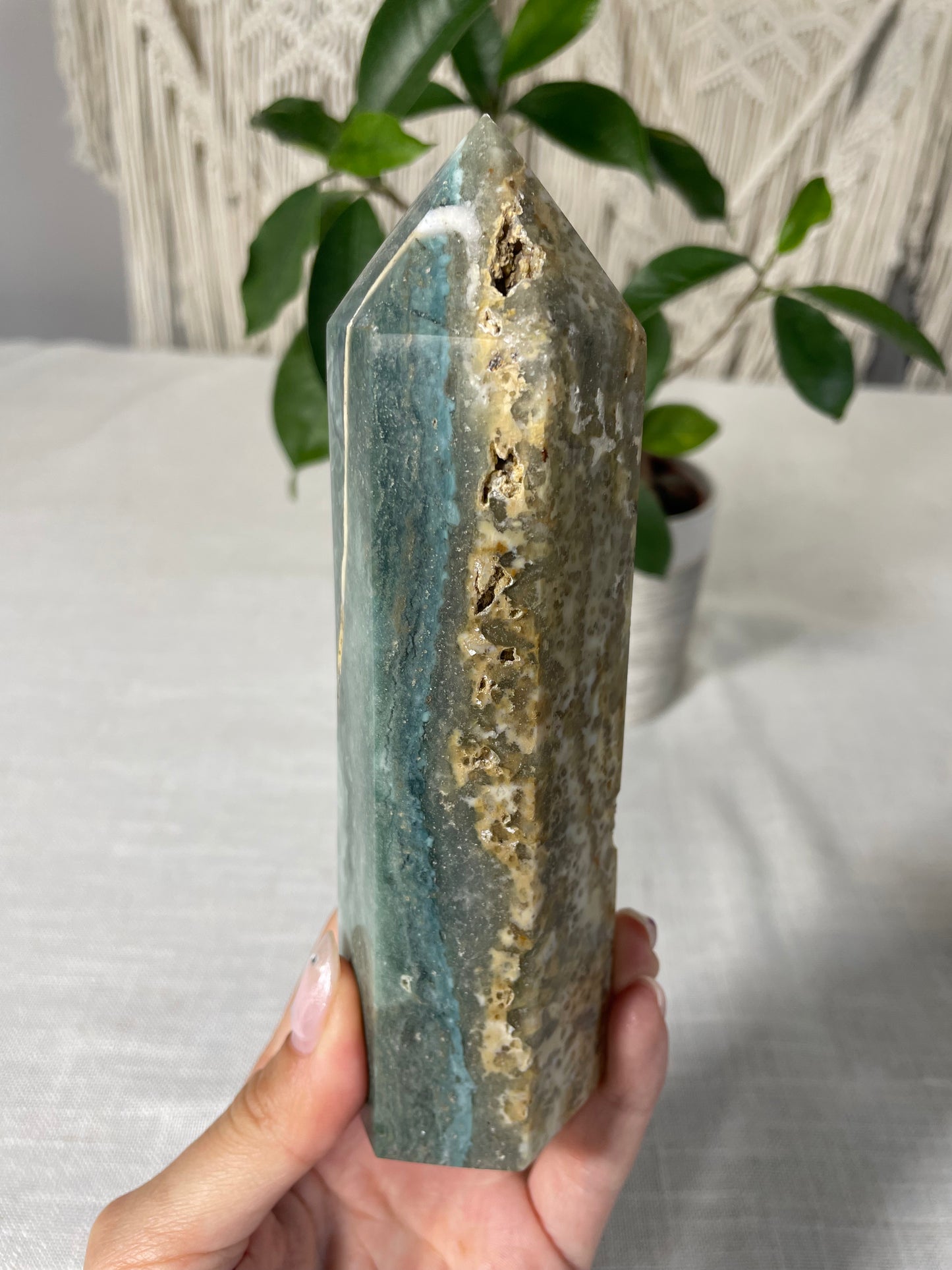 Ocean Jasper Towers