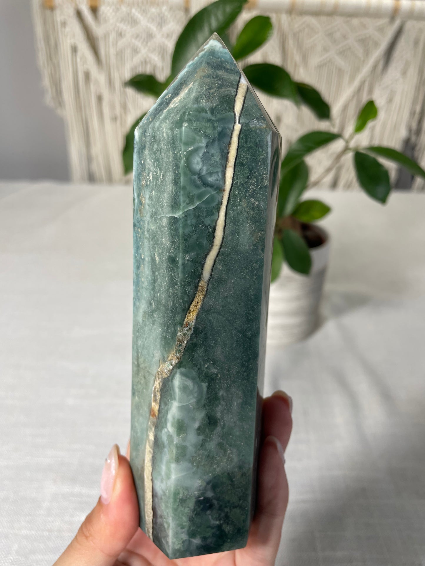 Ocean Jasper Towers