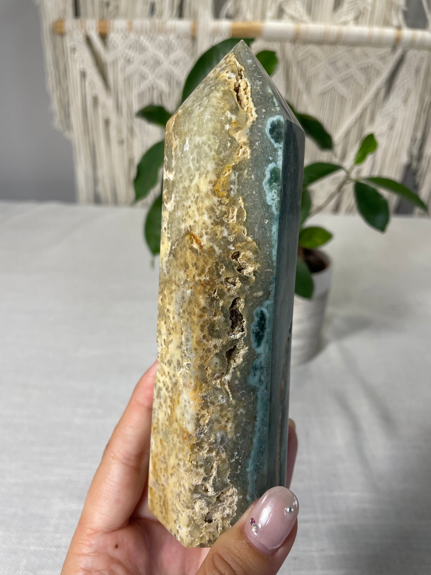 Ocean Jasper Towers