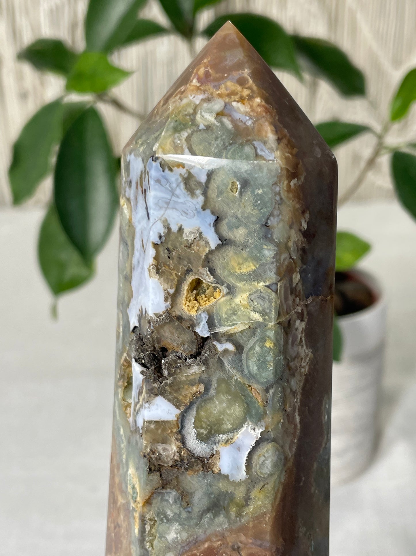 Ocean Jasper Towers