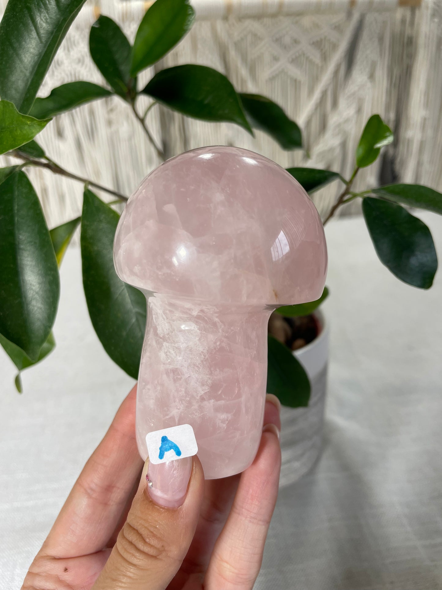 Rose Quartz Mushrooms