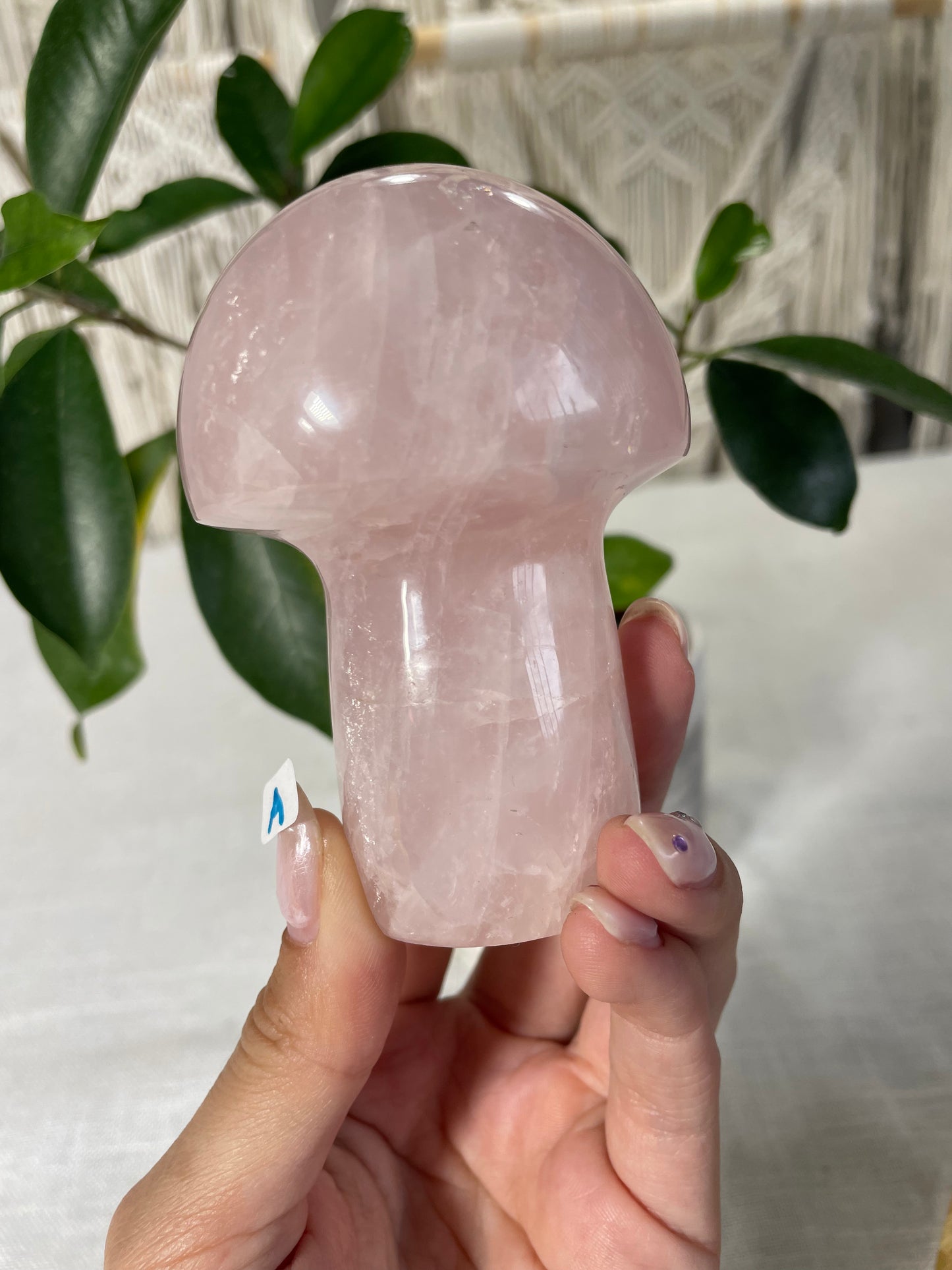 Rose Quartz Mushrooms