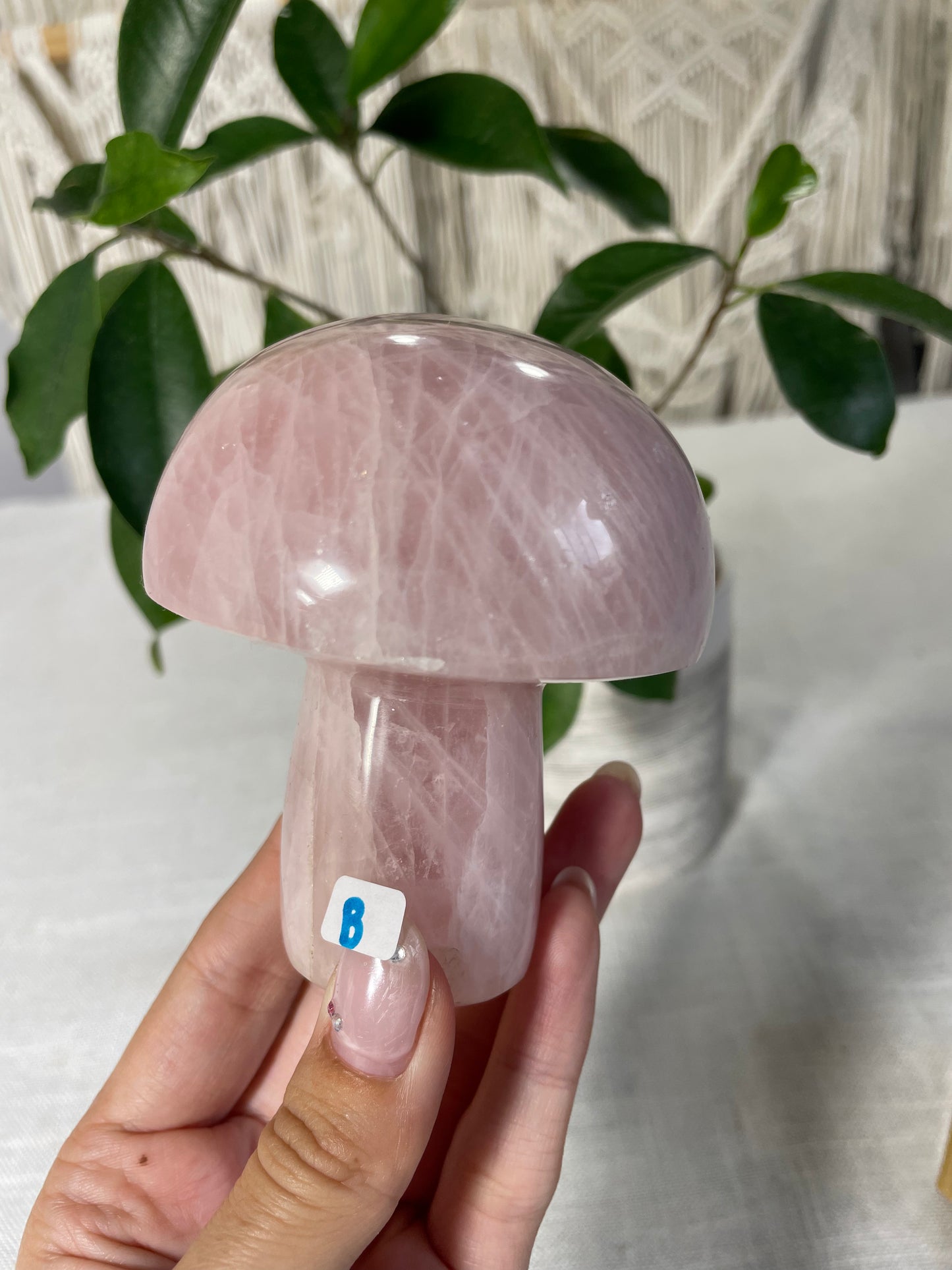 Rose Quartz Mushrooms