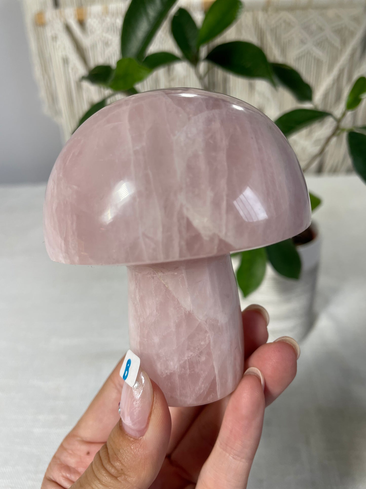 Rose Quartz Mushrooms