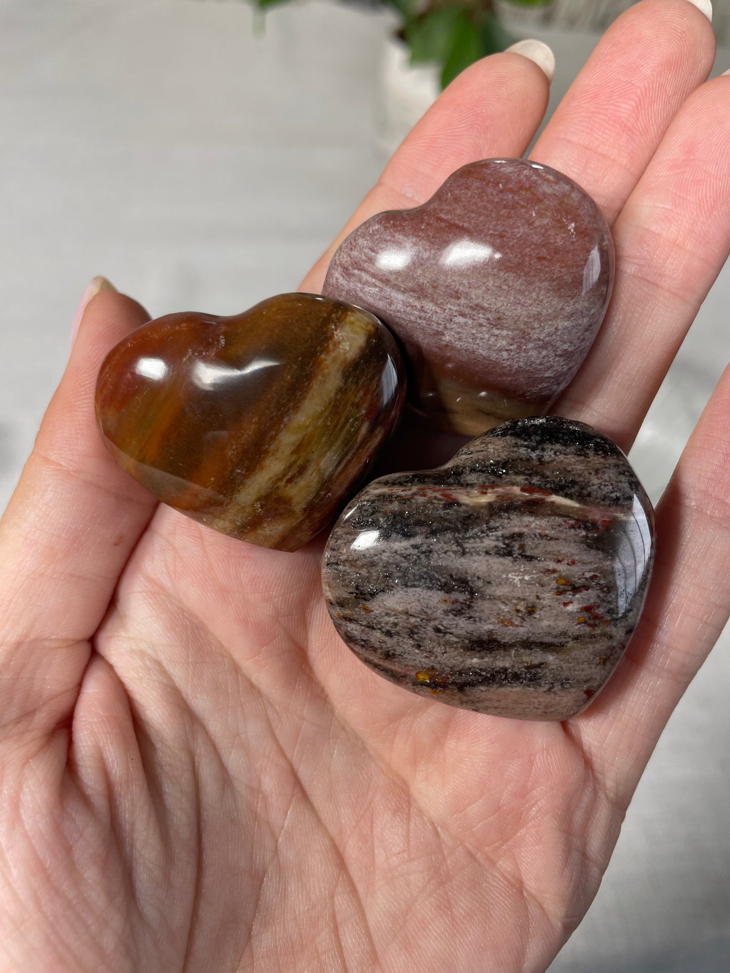 Red Petrified Wood Hearts (intuitively chosen)