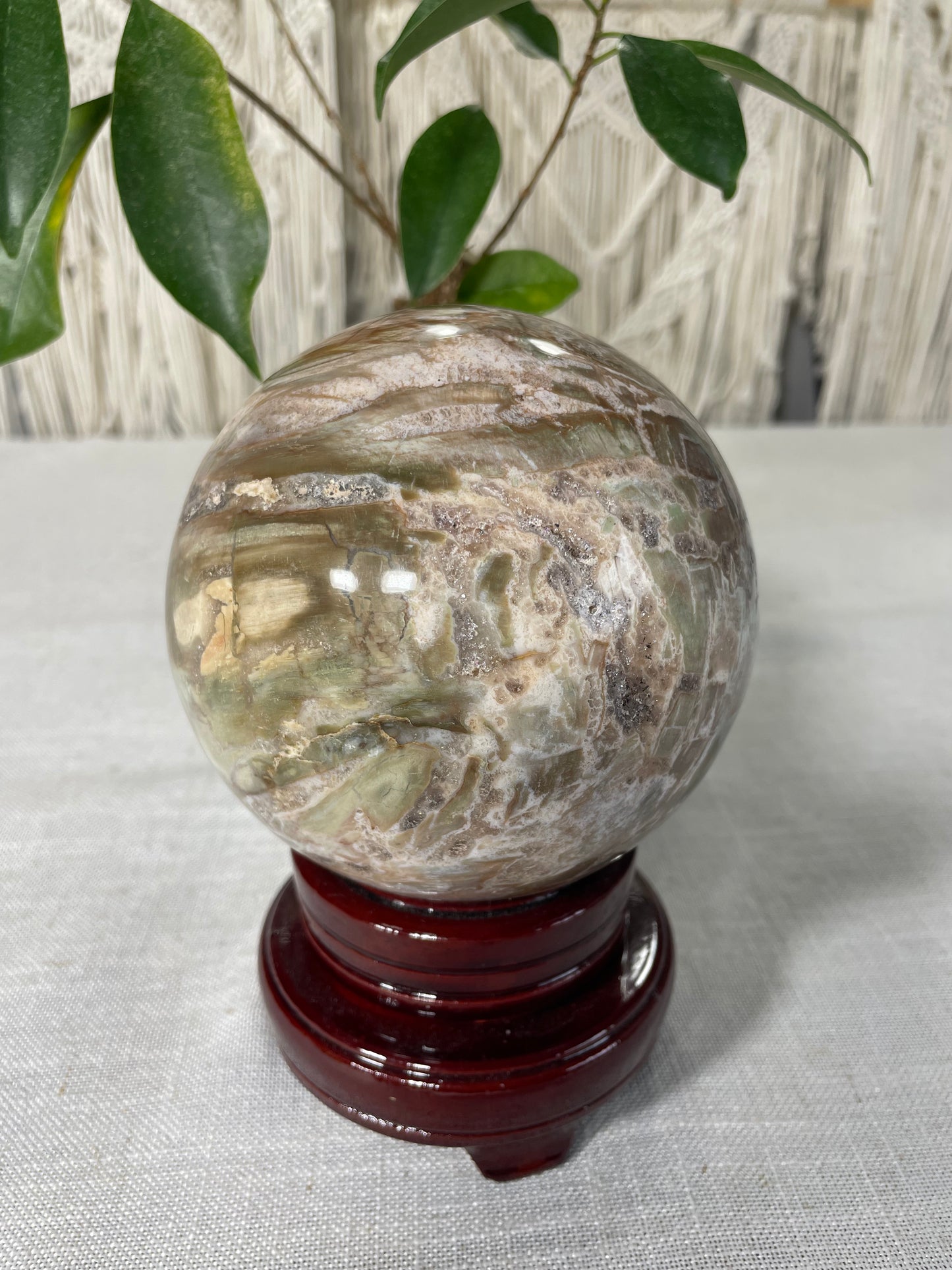 Pastel Green Petrified wood XL Sphere