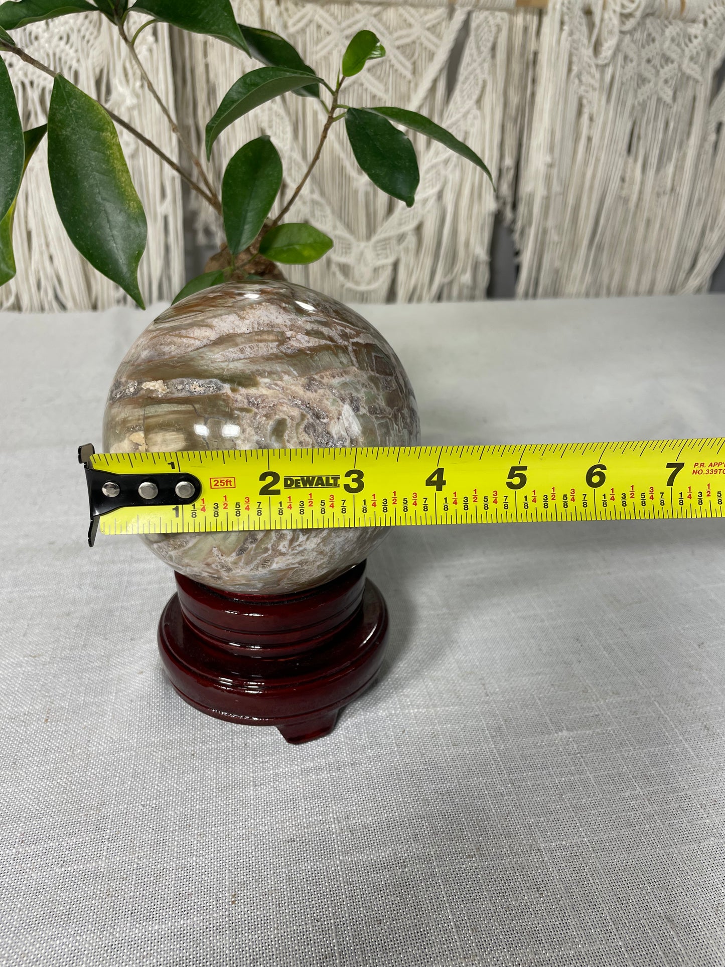 Pastel Green Petrified wood XL Sphere