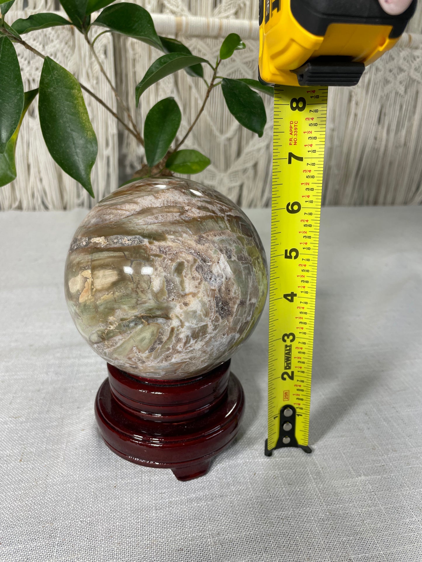 Pastel Green Petrified wood XL Sphere