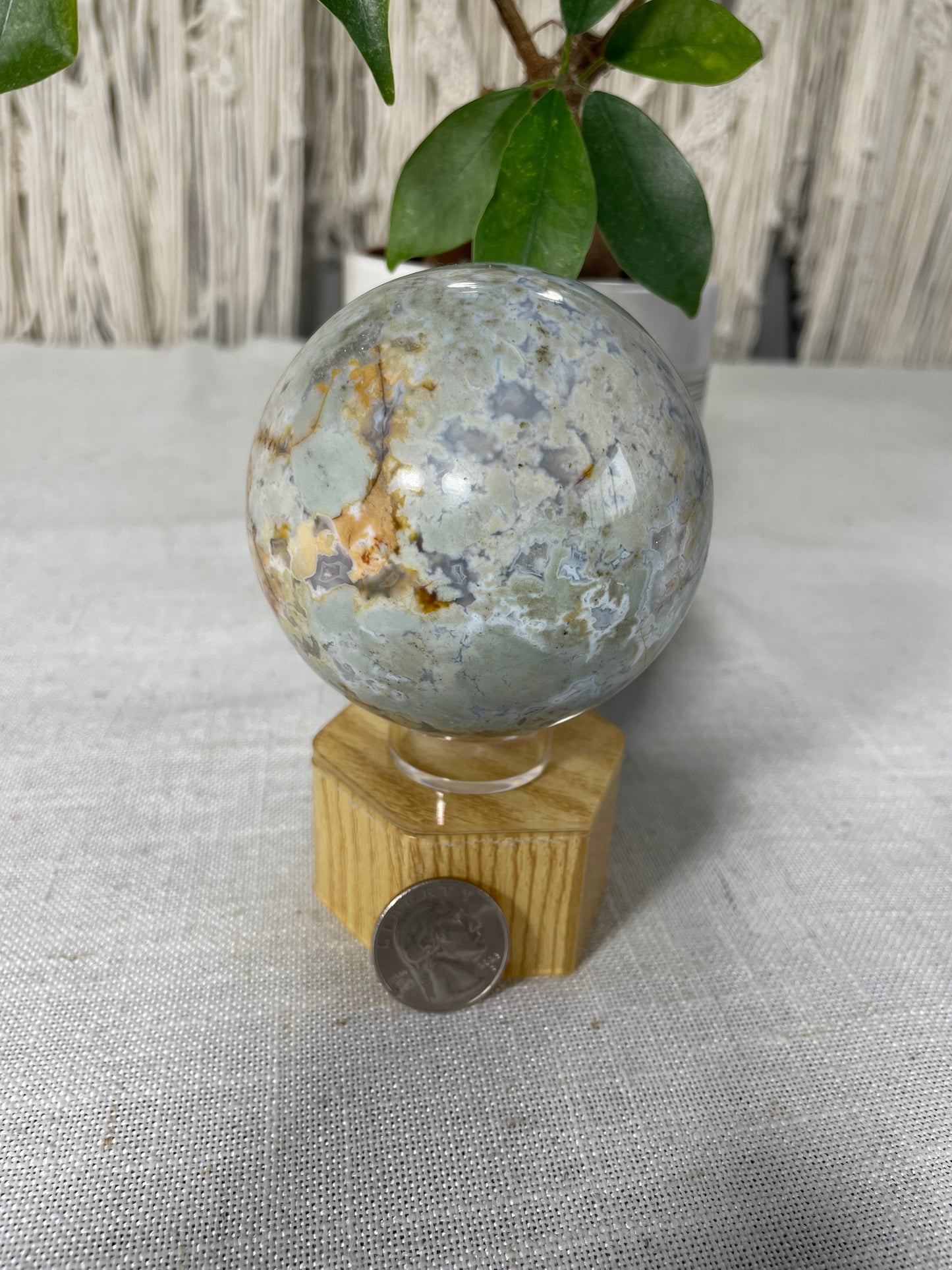 Pastel Blue/Green Petrified Wood Sphere