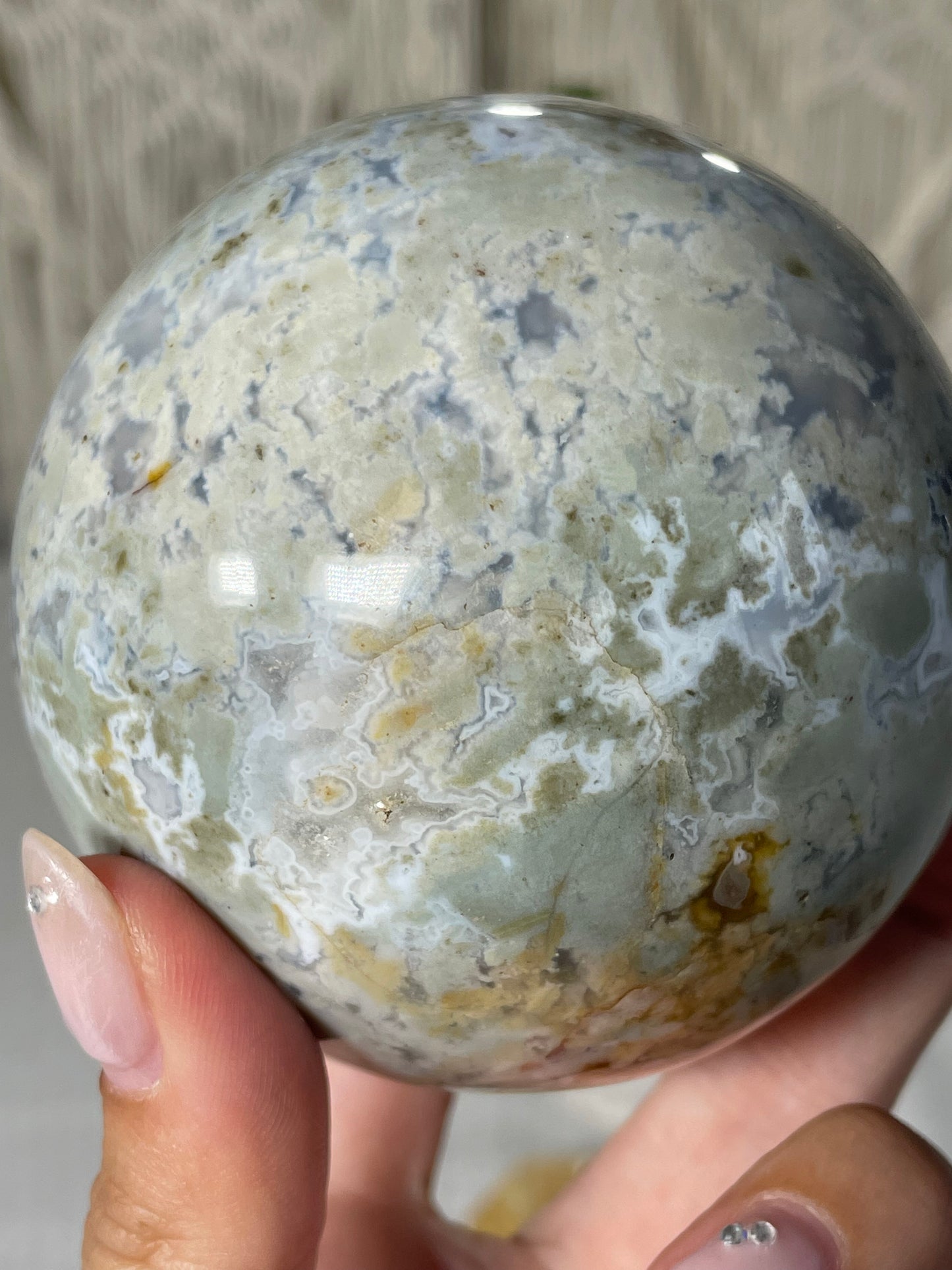 Pastel Blue/Green Petrified Wood Sphere
