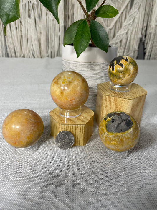 Bumblebee Jasper Spheres