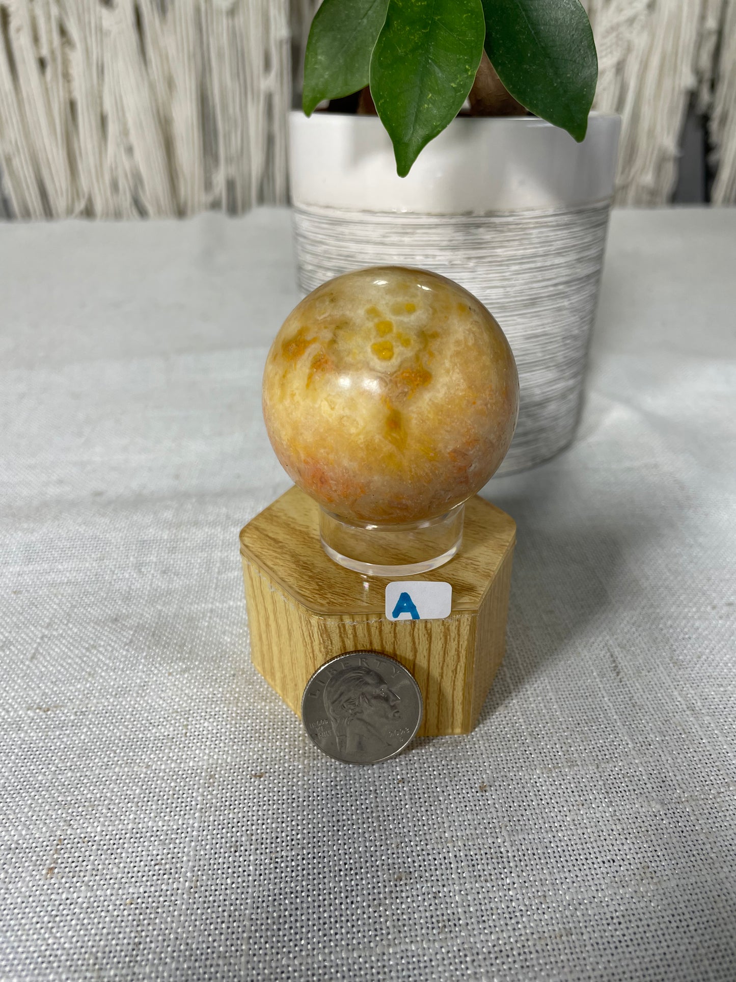 Bumblebee Jasper Spheres