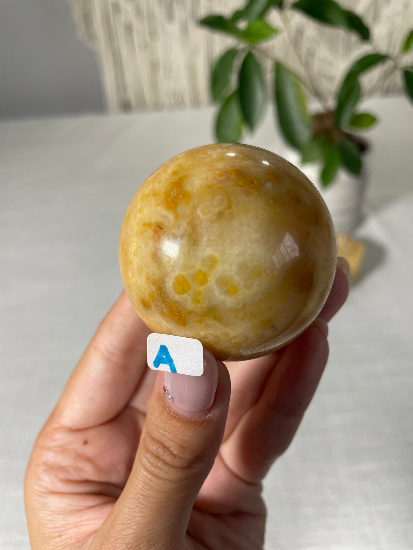 Bumblebee Jasper Spheres