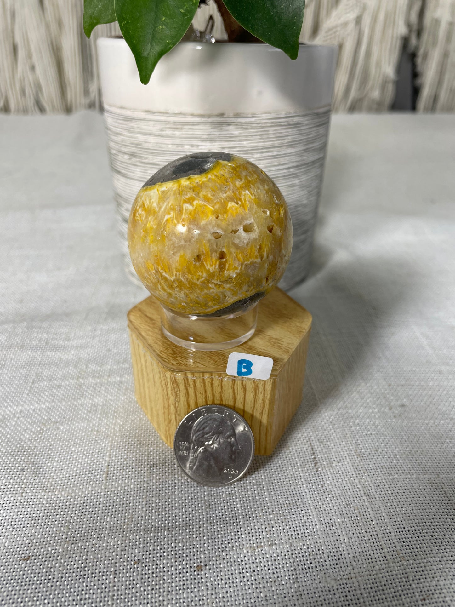 Bumblebee Jasper Spheres