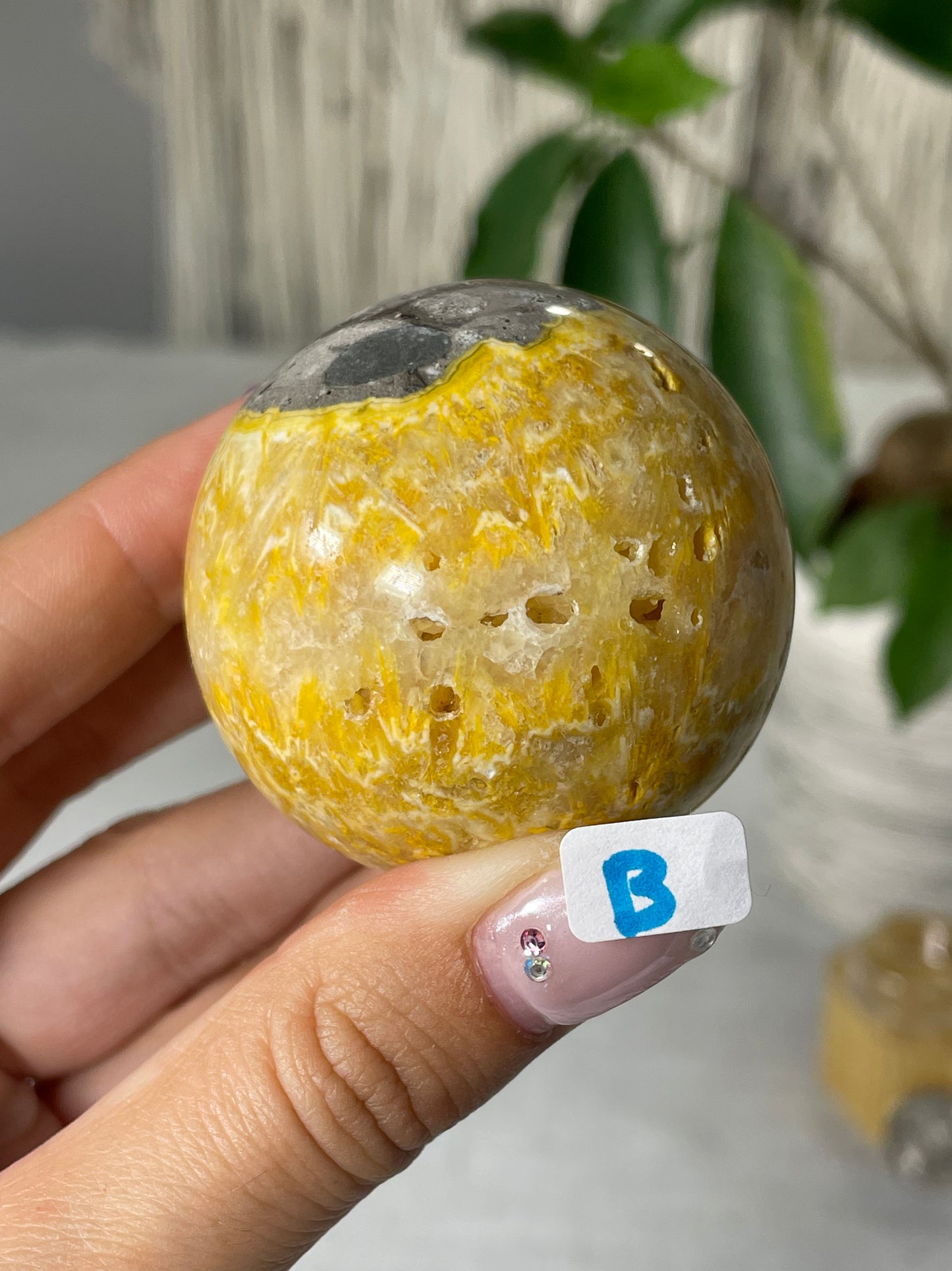 Bumblebee Jasper Spheres