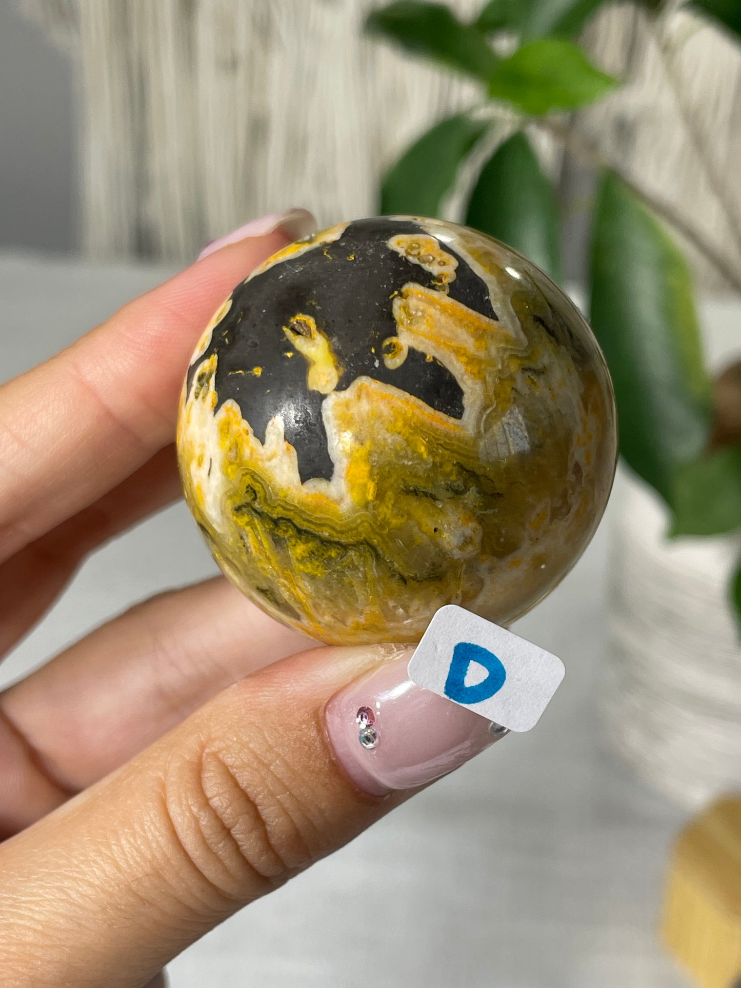 Bumblebee Jasper Spheres