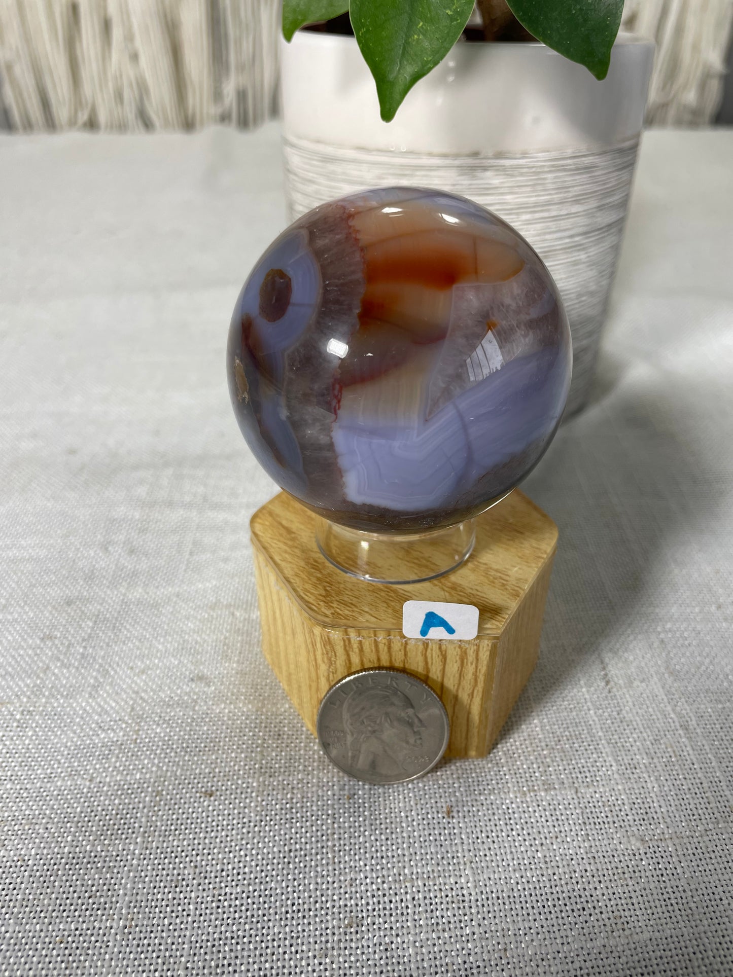 Blue Flower Agate Spheres