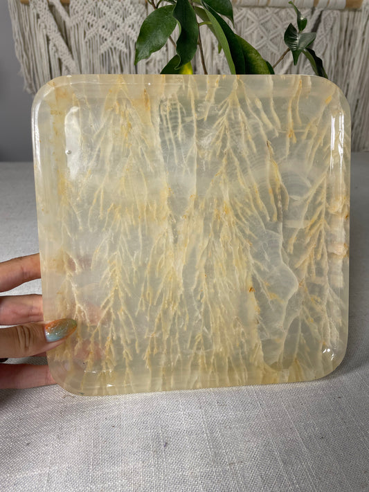 Golden Healer & Dendrites Tray