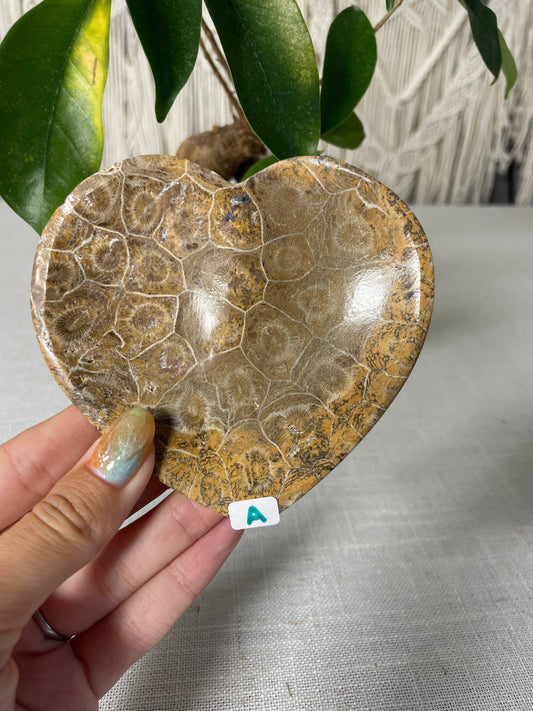 Coral Heart Bowl (A)