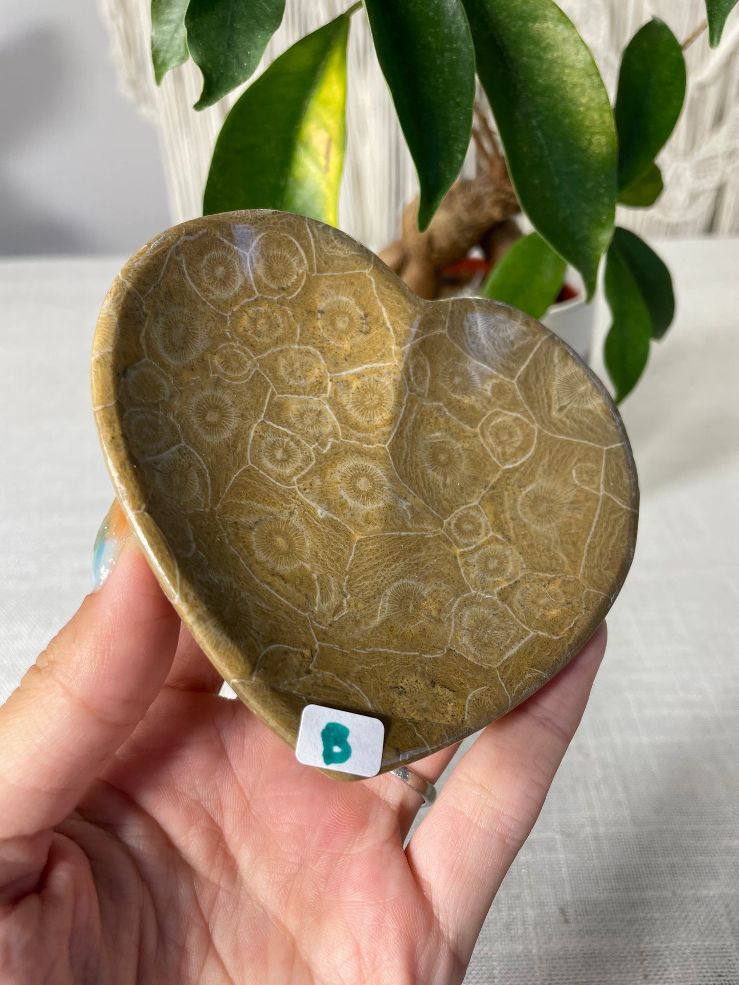 Coral Heart Bowl (B)