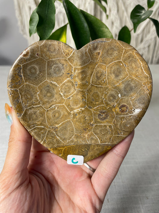 Coral Heart Bowl (C)