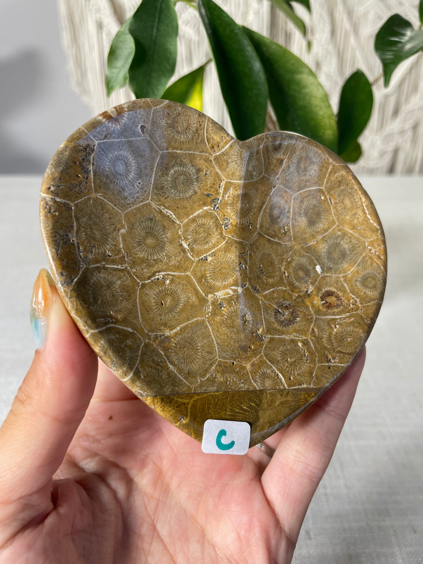 Coral Heart Bowl (C)