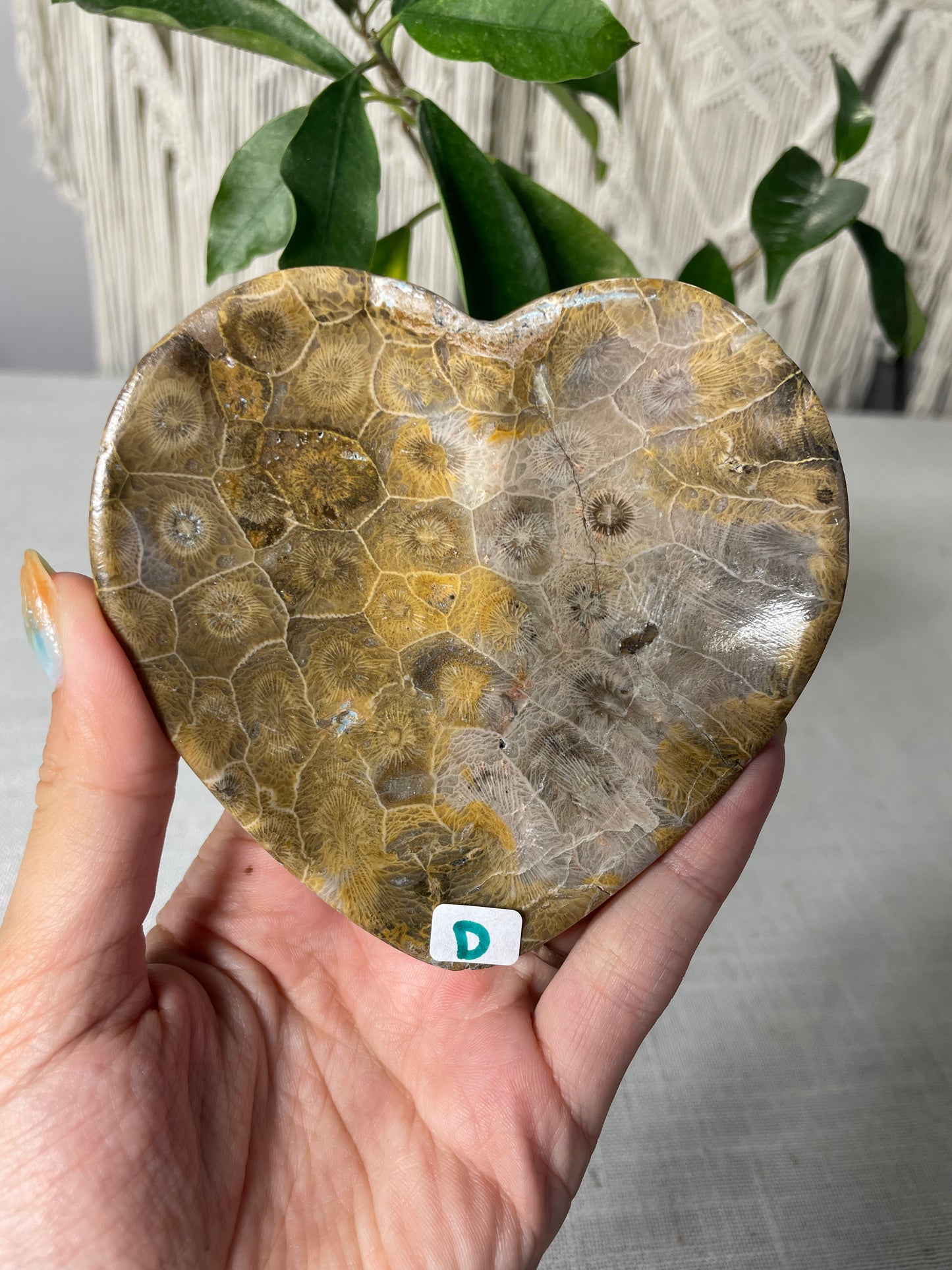 Coral Heart Bowl (D)