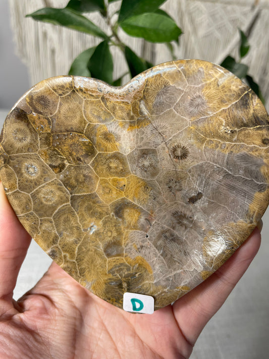 Coral Heart Bowl (D)