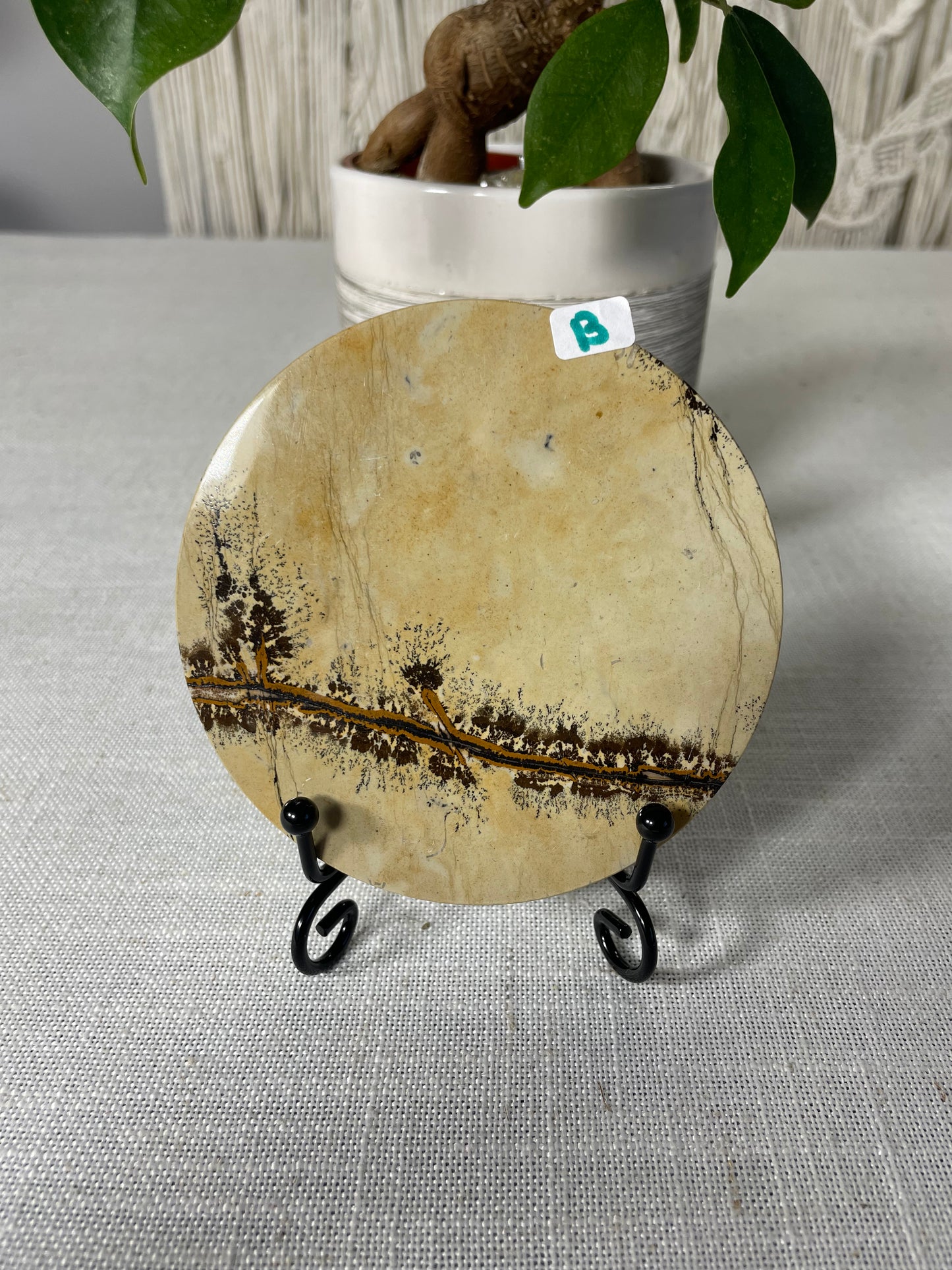 Picture Jasper Slab (B)