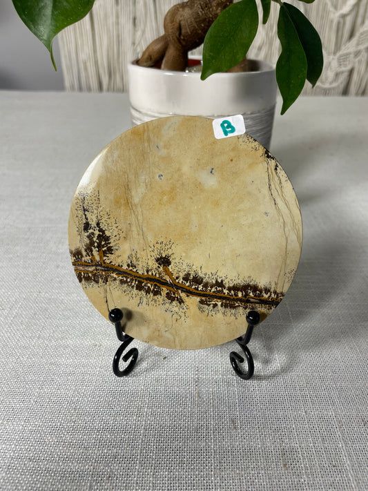 Picture Jasper Slab (B)