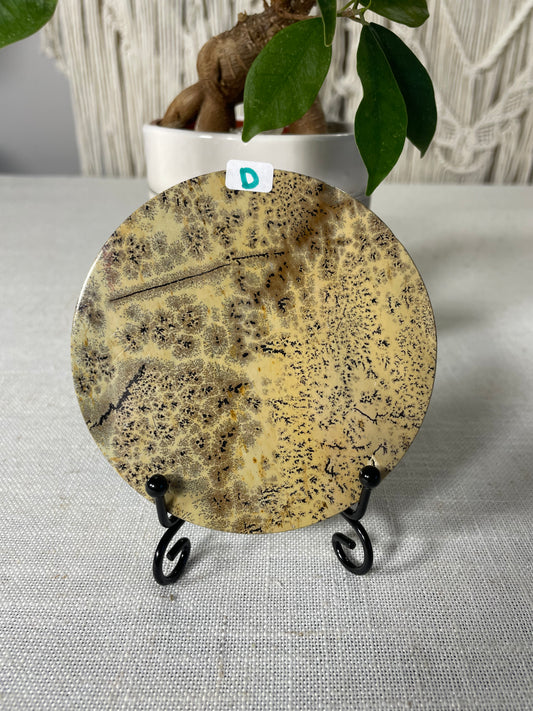 Picture Jasper Slab (D)