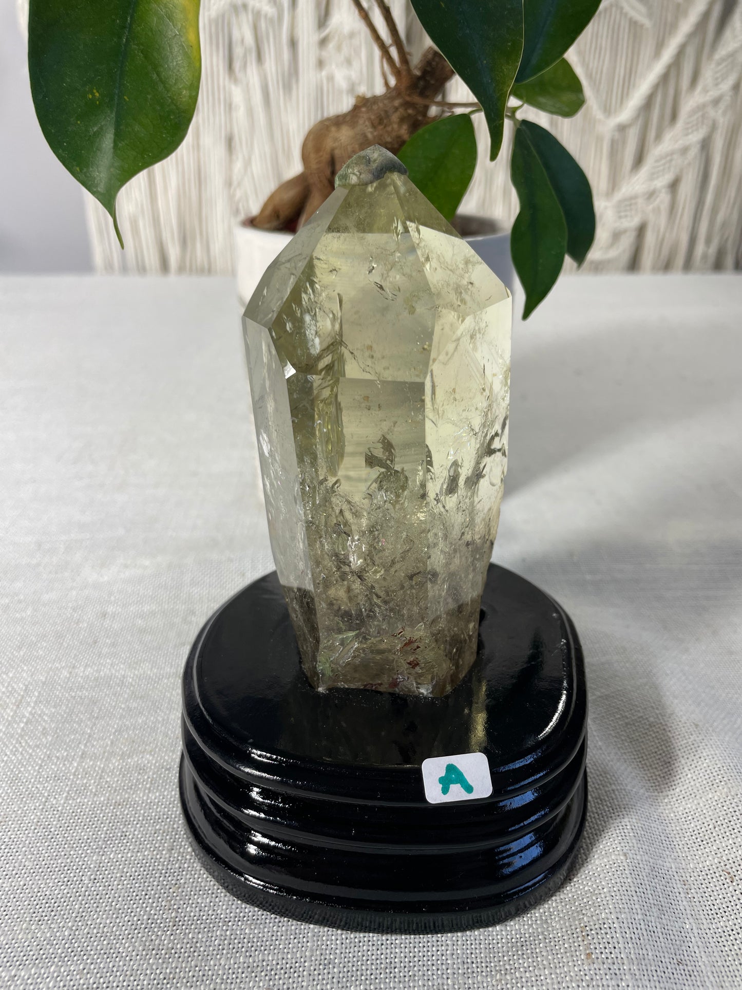 Citrine in wood stand (A)