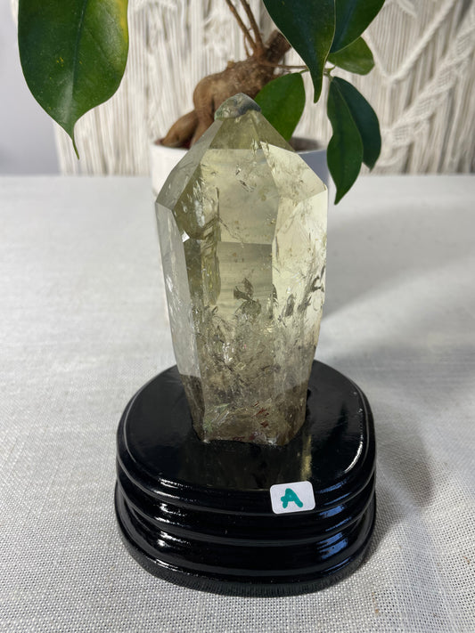 Citrine in wood stand (A)