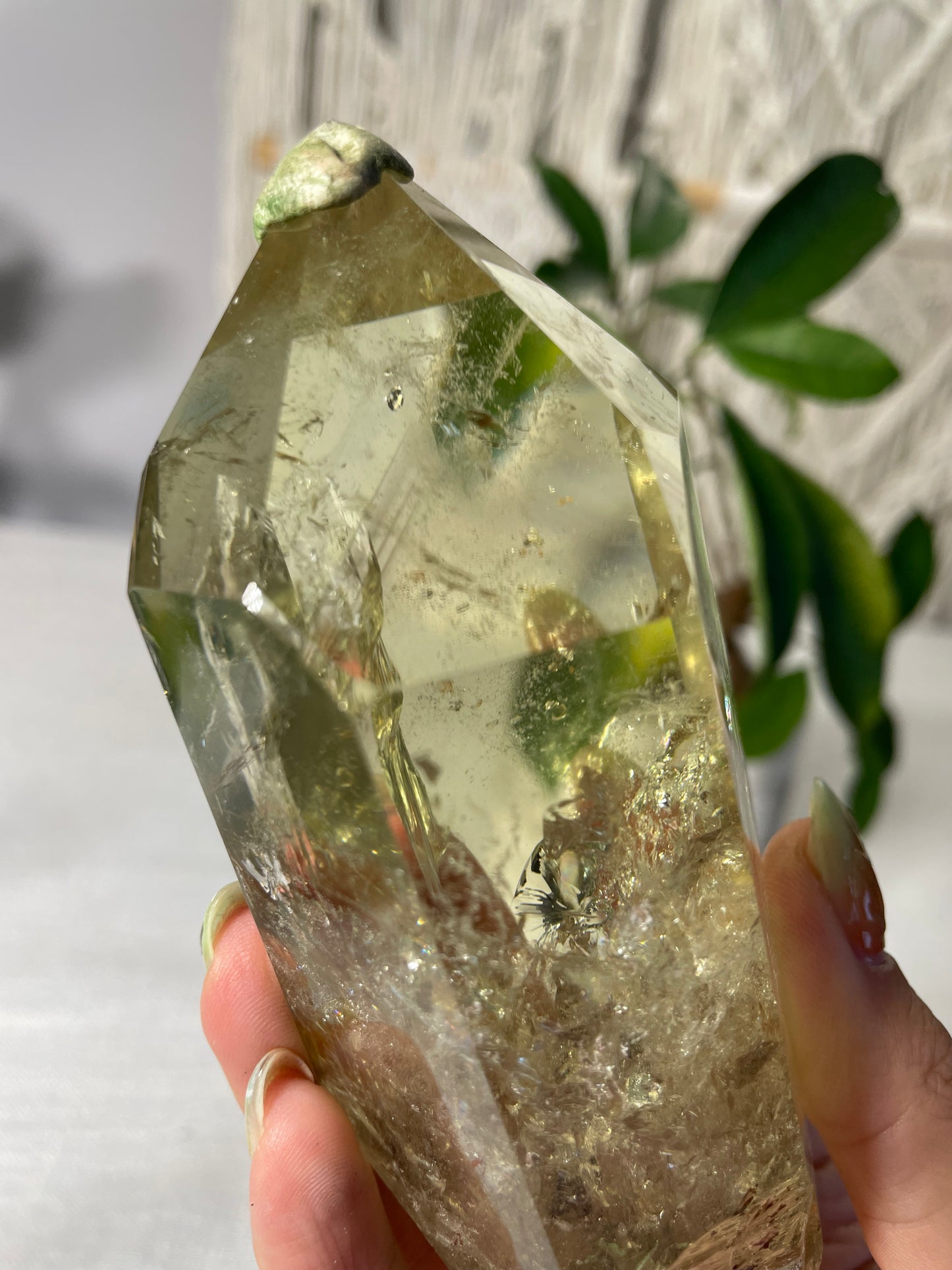 Citrine in wood stand (A)