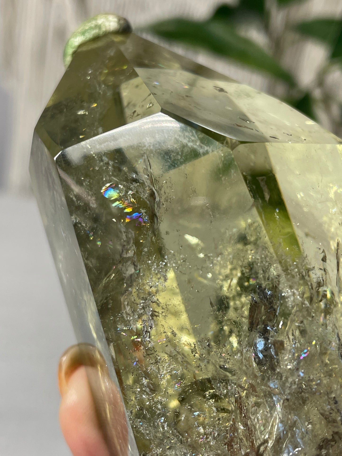Citrine in wood stand (A)