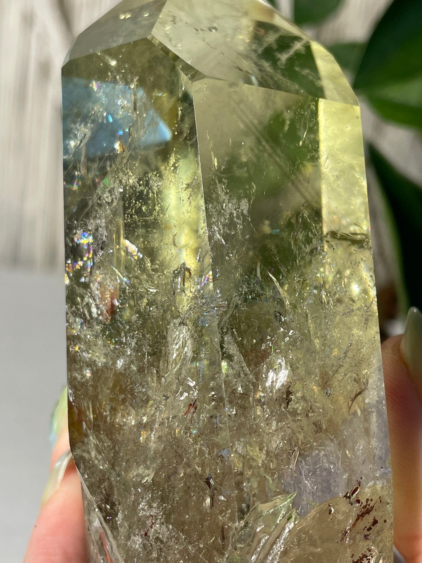 Citrine in wood stand (A)