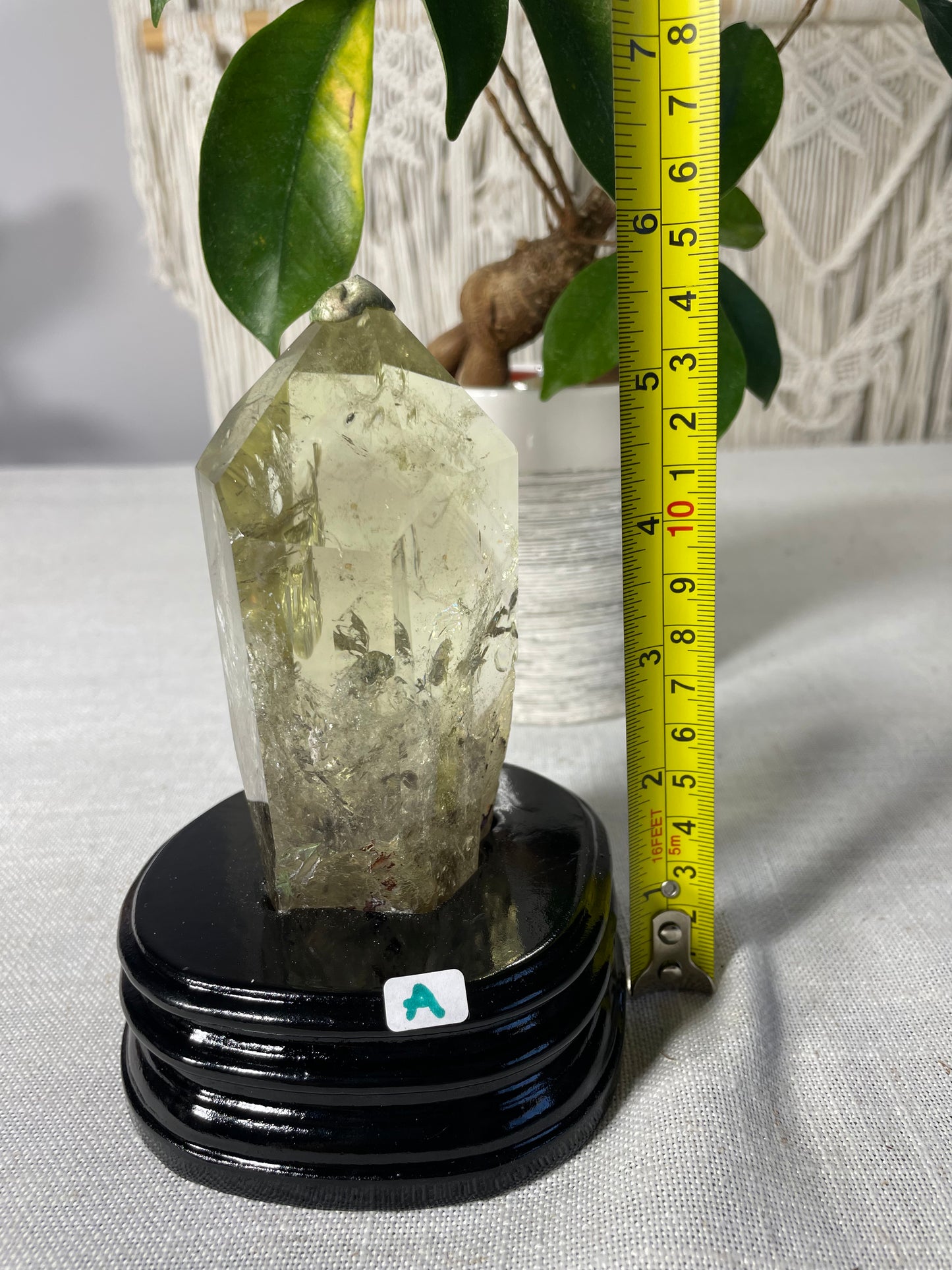 Citrine in wood stand (A)