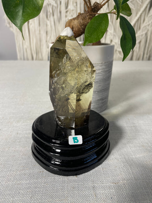 Citrine in wood stand (B)