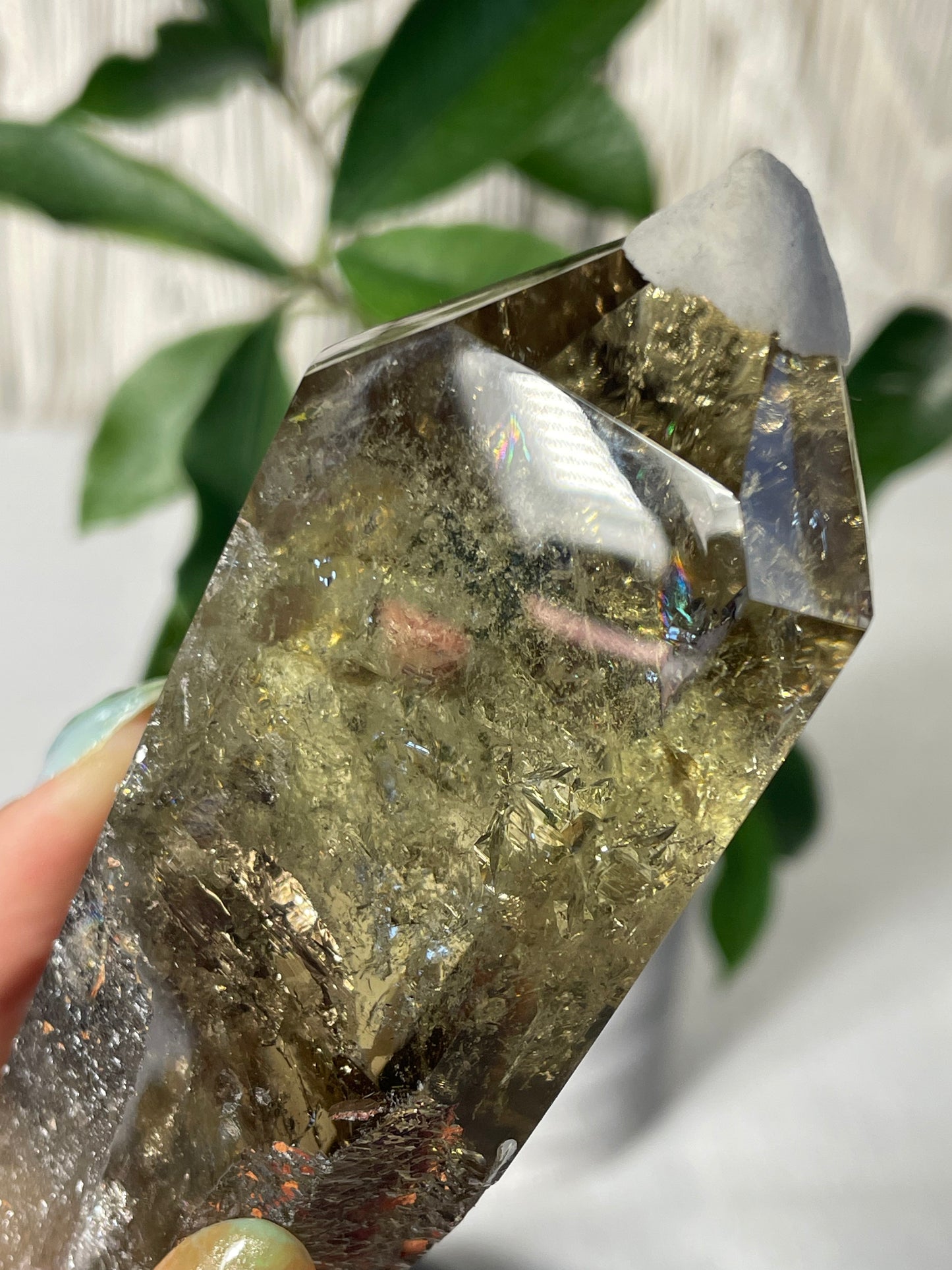 Citrine in wood stand (B)